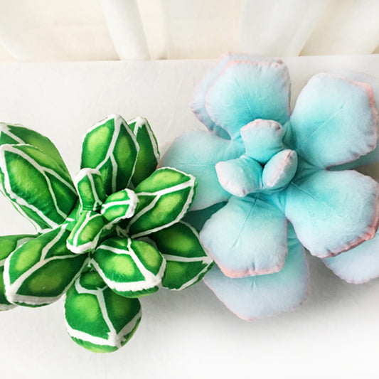 Succulent Flower Pillows