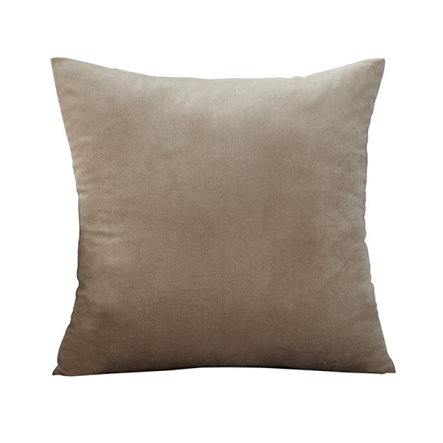 Blue Velvet Throw Pillow