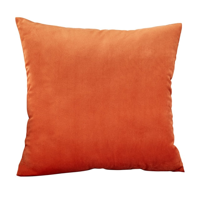 Velvet Throw Pillows