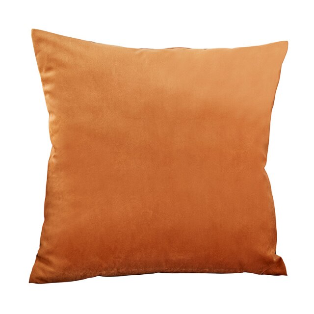 Velvet Throw Pillows