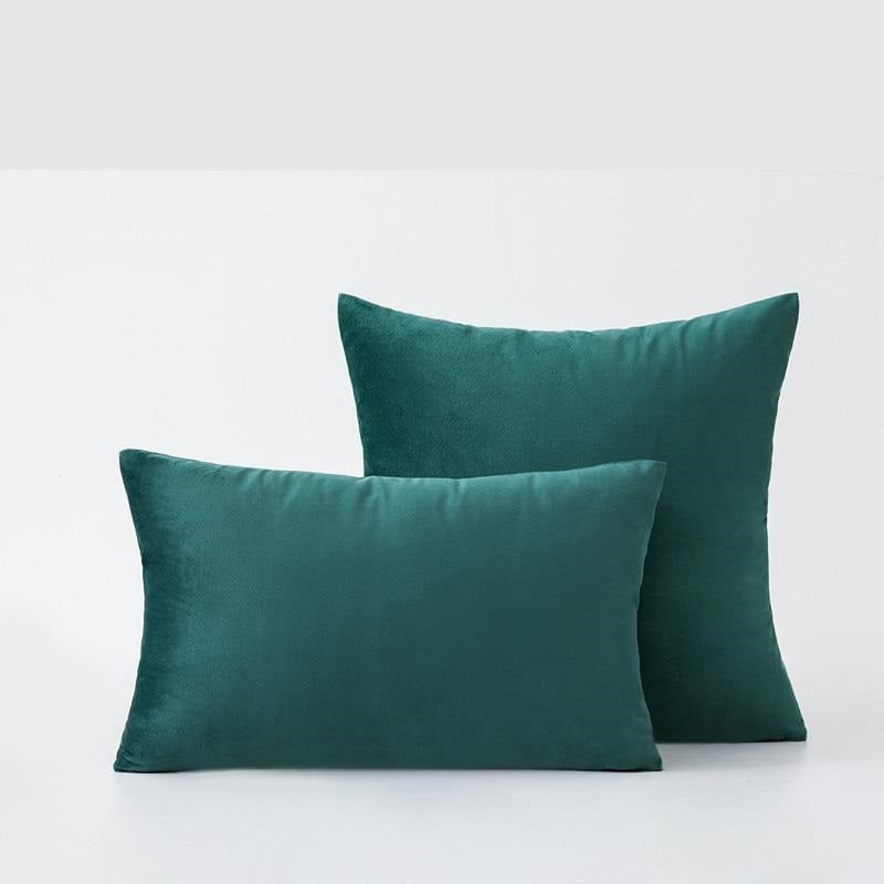 Basic Velvet Throw Pillow Case