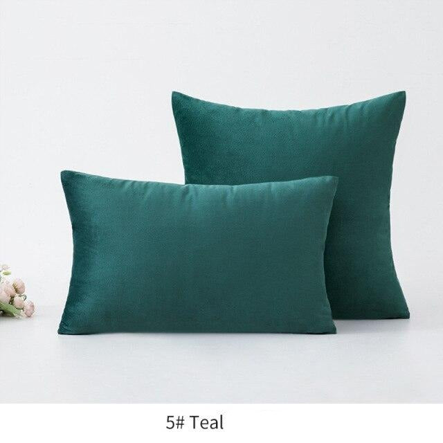 Basic Velvet Throw Pillow Case