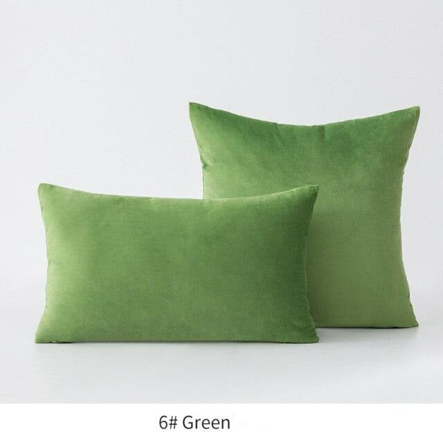 Basic Velvet Throw Pillow Case