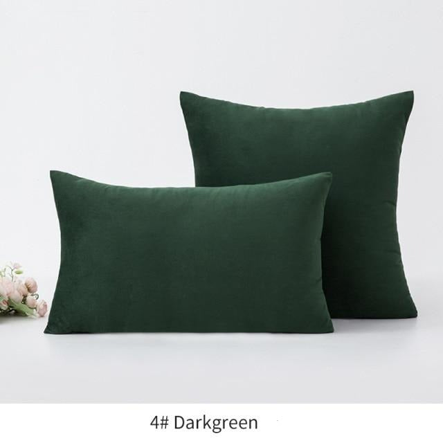 Basic Velvet Throw Pillow Case