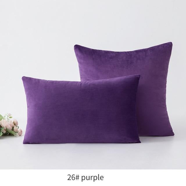 Basic Velvet Throw Pillow Case