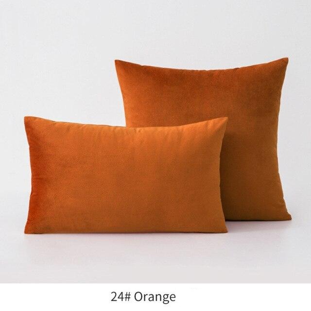 Basic Velvet Throw Pillow Case